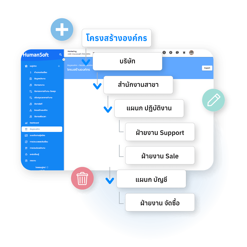 Organization Structure
