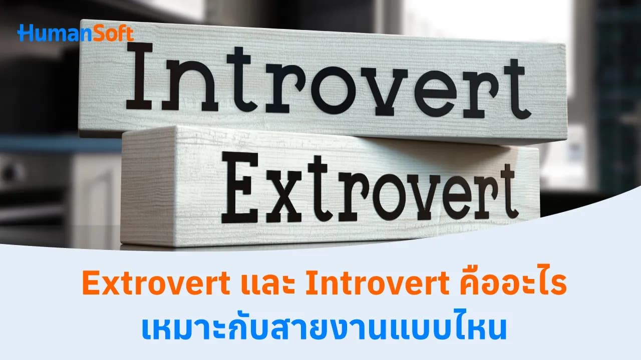 Extrovert และ Introvert คืออะไร เหมาะกับสายงานแบบไหน Extrovert และ Introvert คืออะไร เหมาะกับสายงานแบบไหน - blog image preview