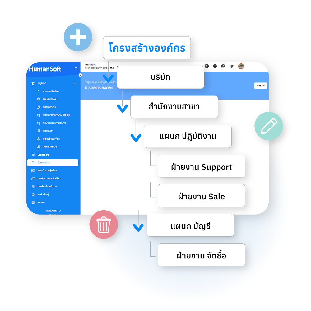 Organization Structure
