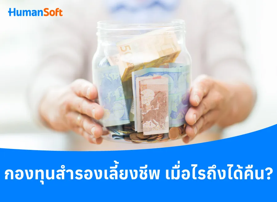 Q&A ถาม-ตอบทุกข้อสงสัยกับกองทุนสำรองเลี้ยงชีพ (รูปที่ 2)